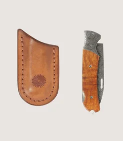 Falcon Folding Knife With Lock Back-Purdey Outlet