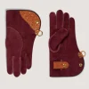 Ostrich Falconry Gloves-Purdey Discount