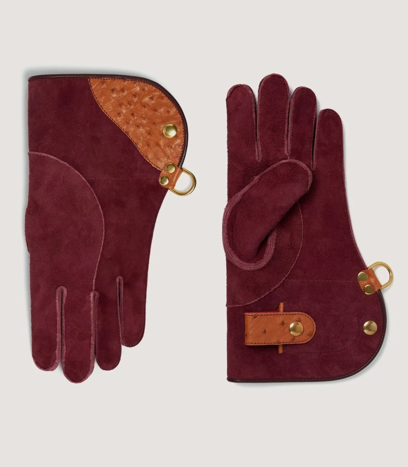 Ostrich Falconry Gloves-Purdey Discount