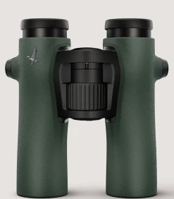 Swarovski Nl 10 X 32 In Green-Purdey Online