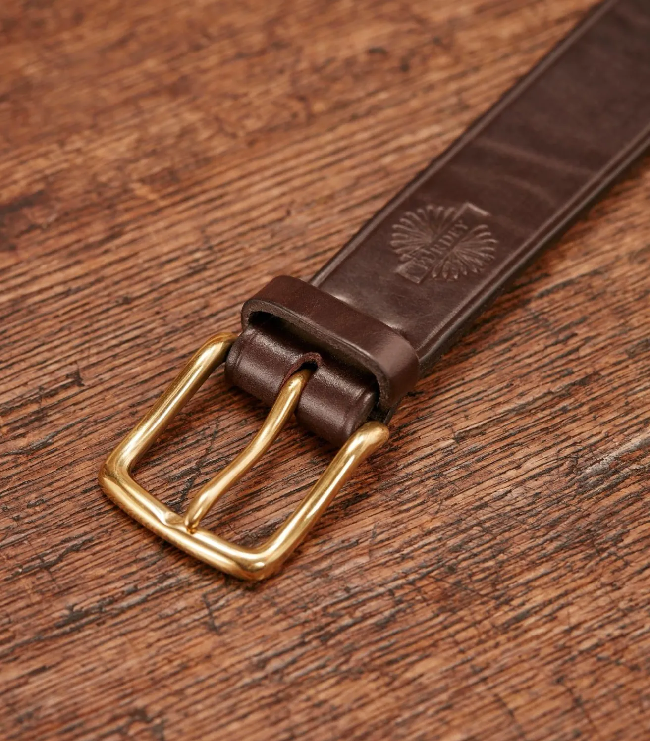 Unlined Bridle Leather Belt In Havana-Purdey Discount
